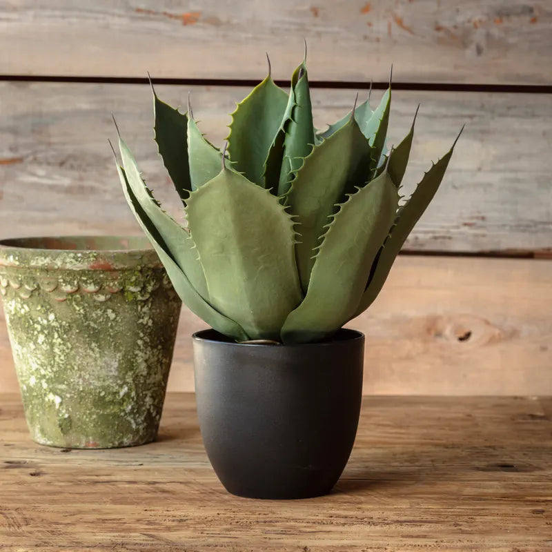 Potted Artichoke Agave Faux Plant