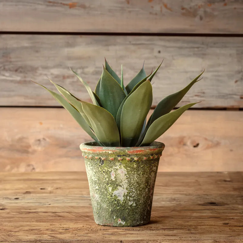 Potted Foxtail Agave Faux Plant
