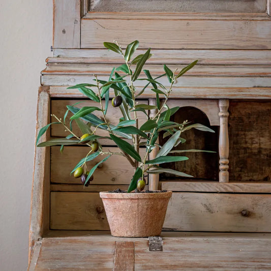 Piccolino Potted Faux Olive Tree