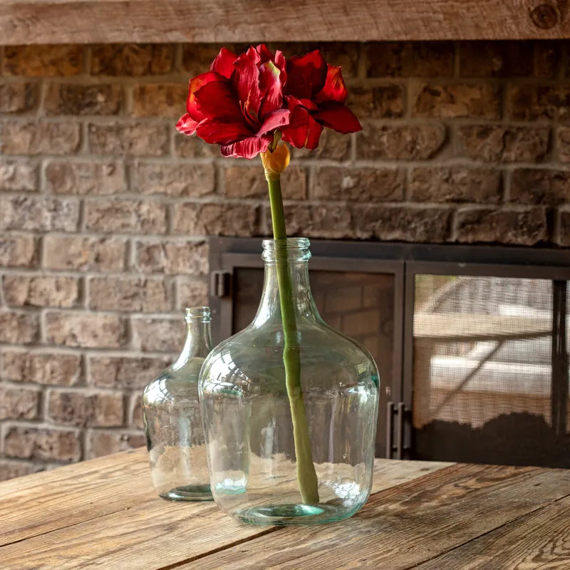 Red Grand Amaryllis Stem