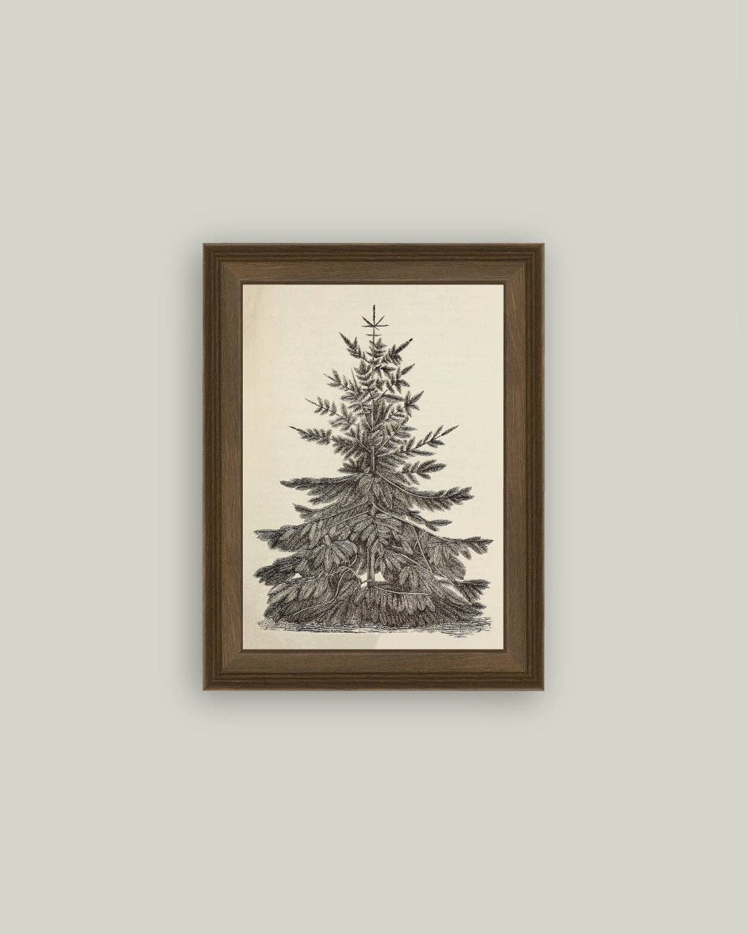 Vintage Pine Tree Framed Antique Art in Wood Frame