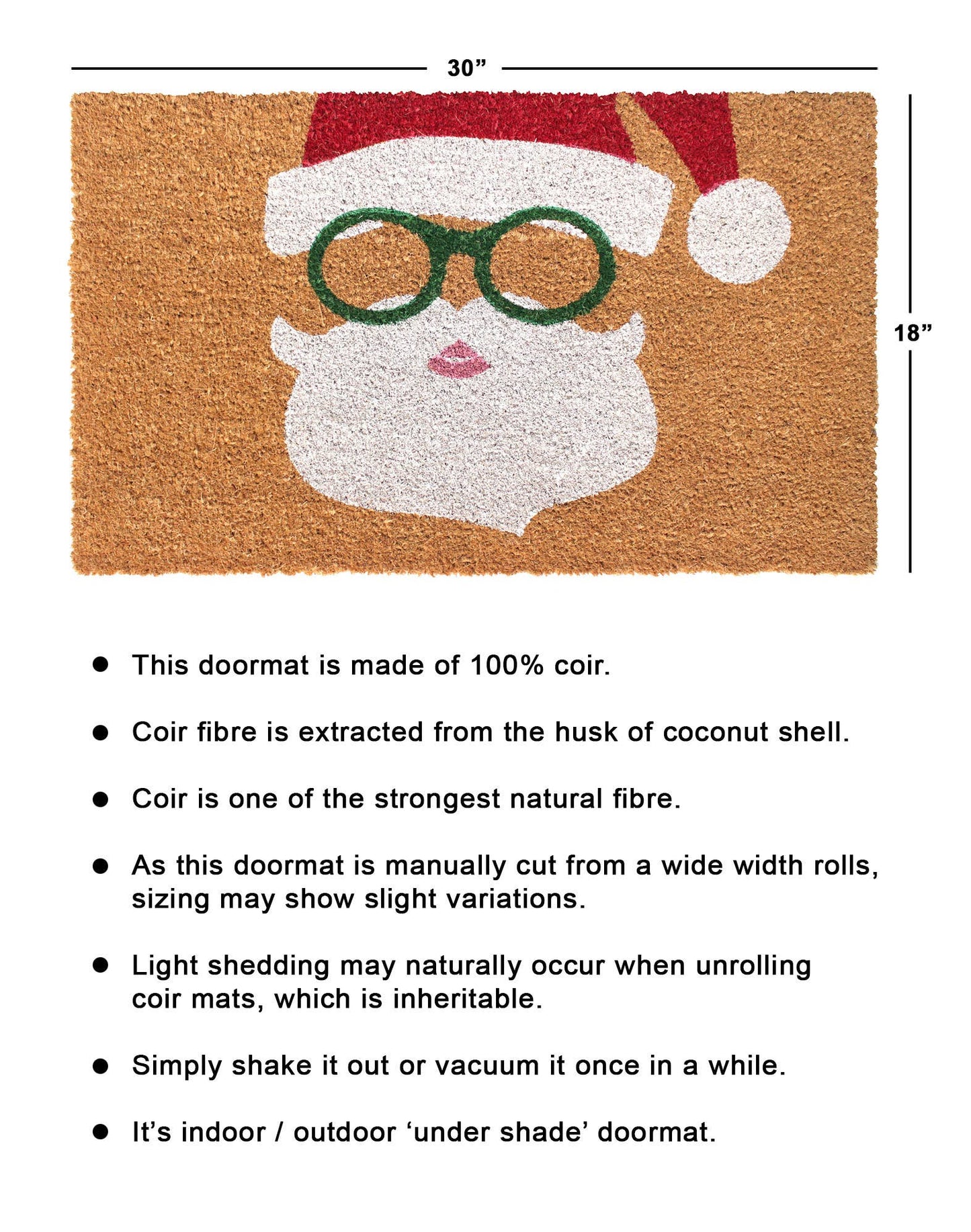 Christmas Santa Doormat