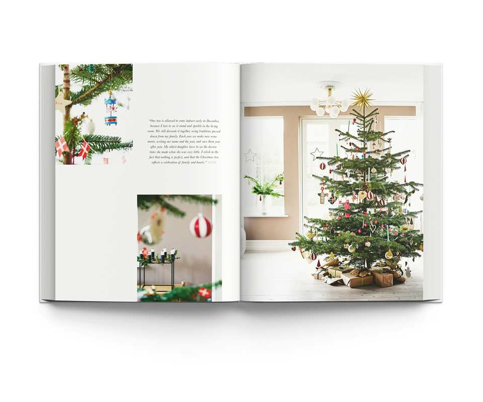 The Christmas Season Book