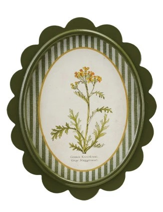 Green Scalloped Framed Artwork with Flowers & Stripes