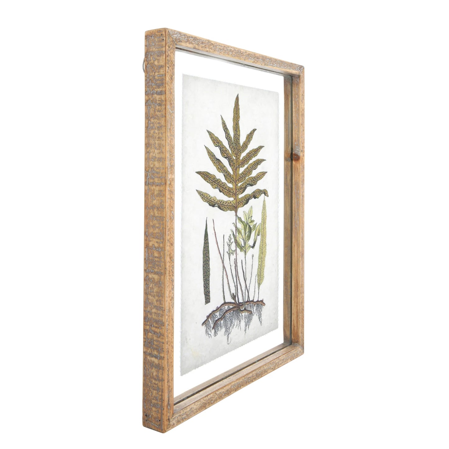 Framed Wall Decor with Botanical Print