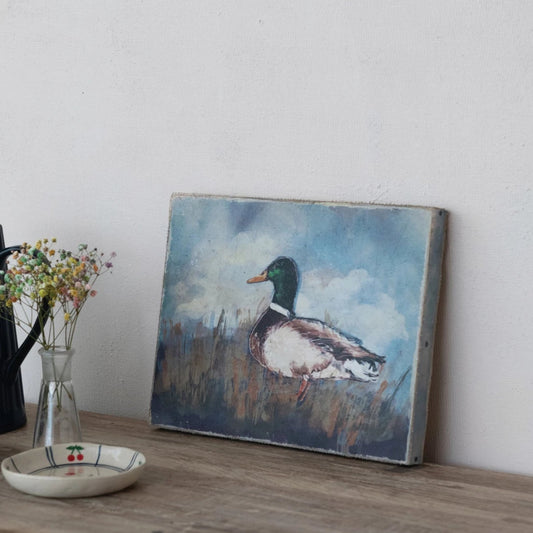 Duck Canvas Wall Décor