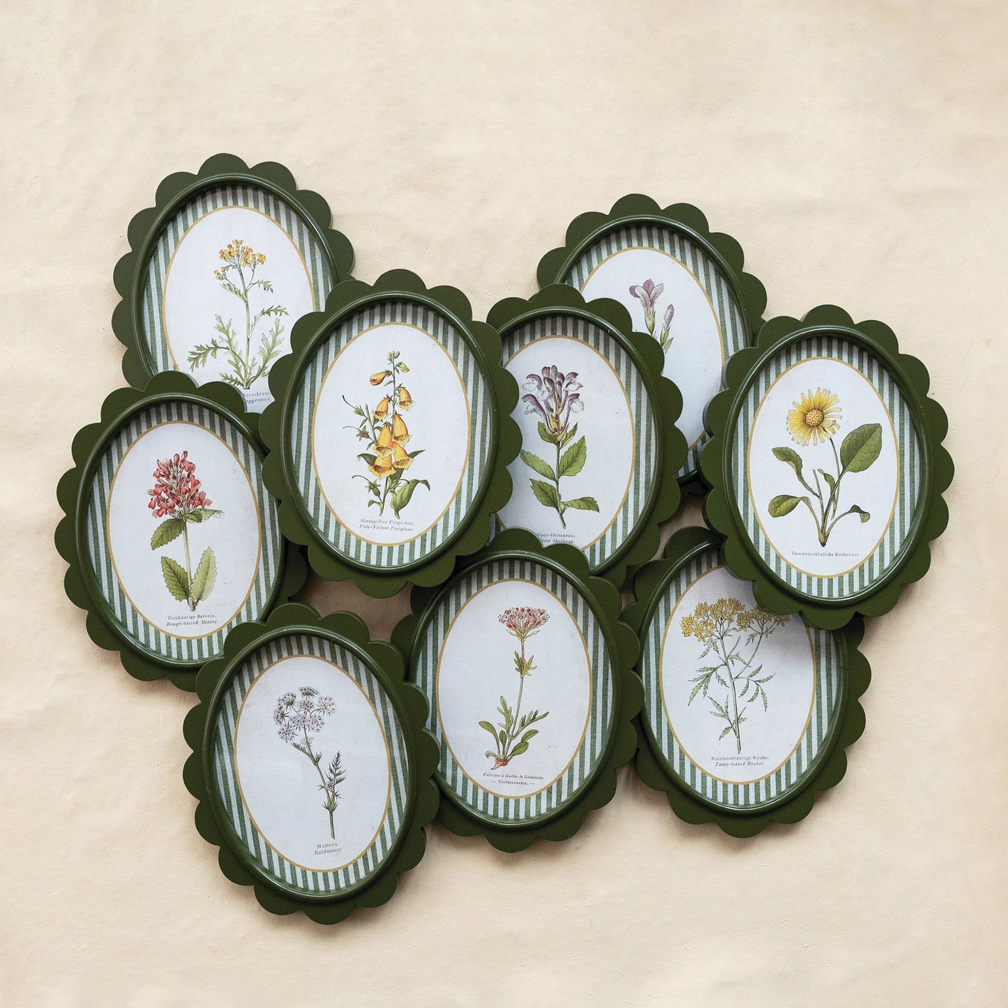 Green Scalloped Framed Artwork with Flowers & Stripes