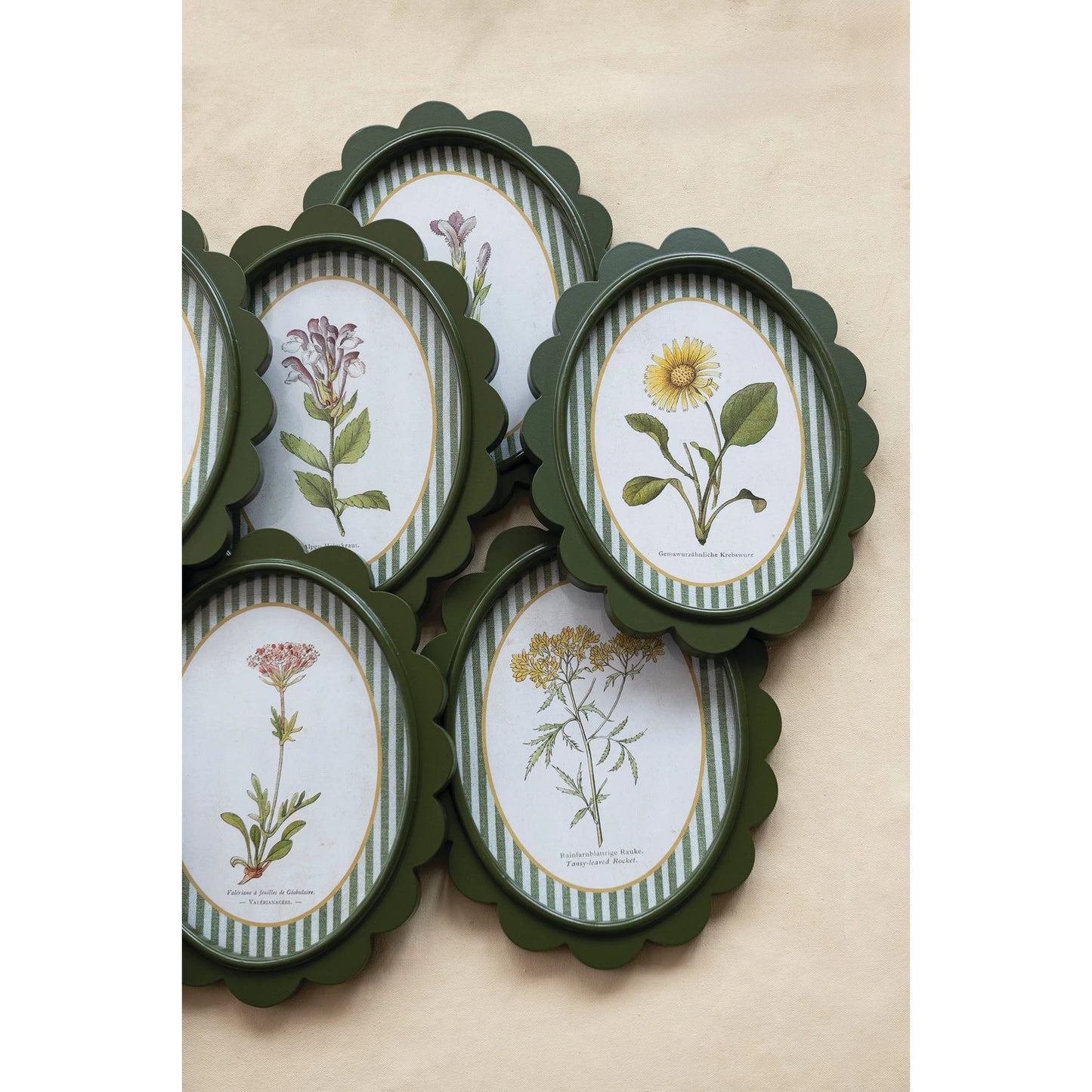 Green Scalloped Framed Artwork with Flowers & Stripes