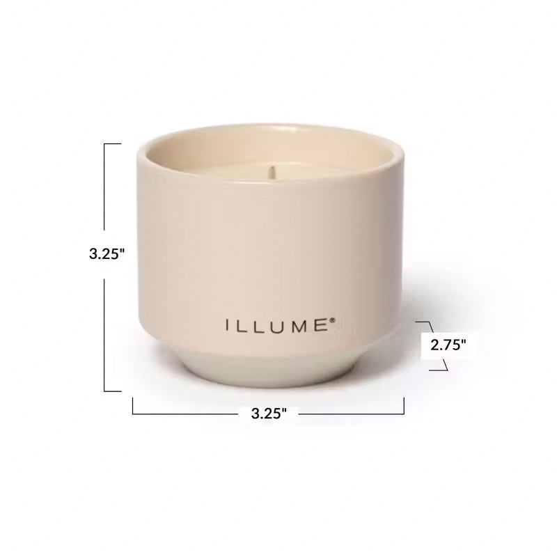 Coconut Milk Mango Candle in Matte Ceramic Container