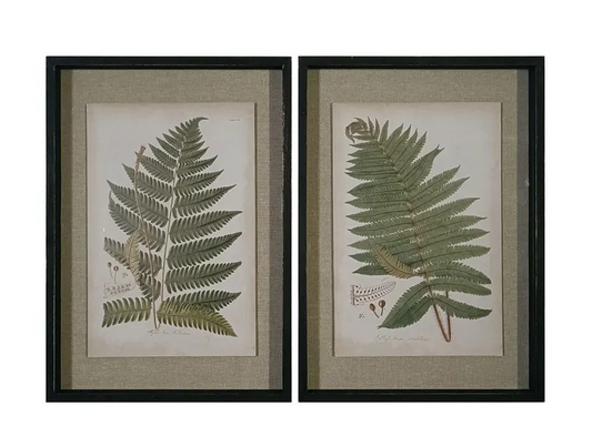 Fern Botanical Prints