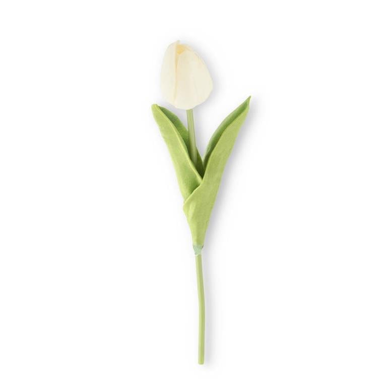 White Tulip Stem