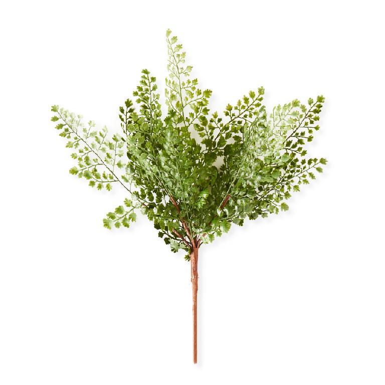 Maidenhair Fern Spray Stem