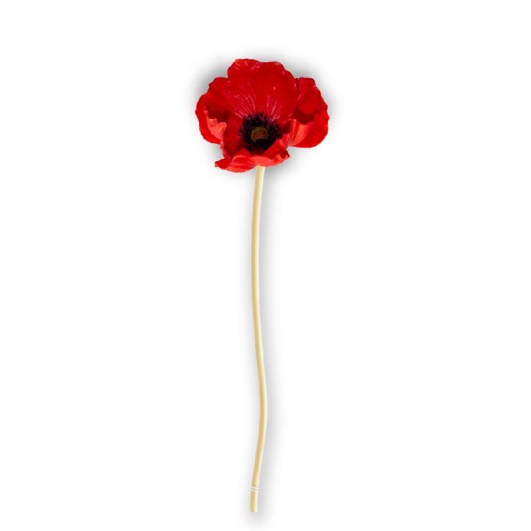 9.5 Inch Red Real Touch Mini Poppy Stem
