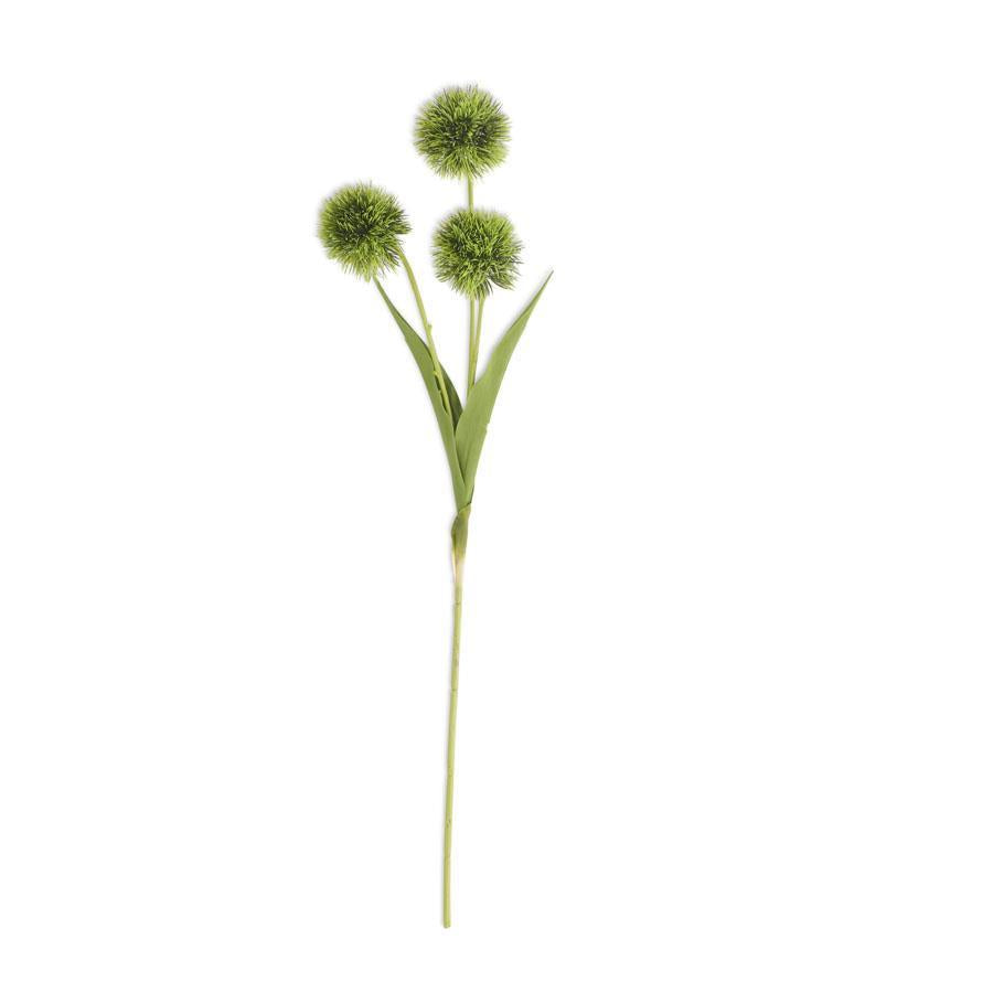 26-inch Green Ball Flower Stem