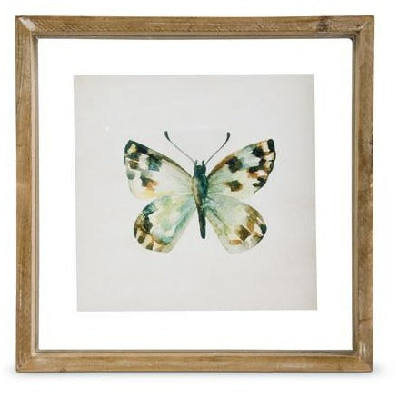 Shadowbox Framed Butterfly Print