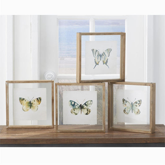 Shadowbox Framed Butterfly Print