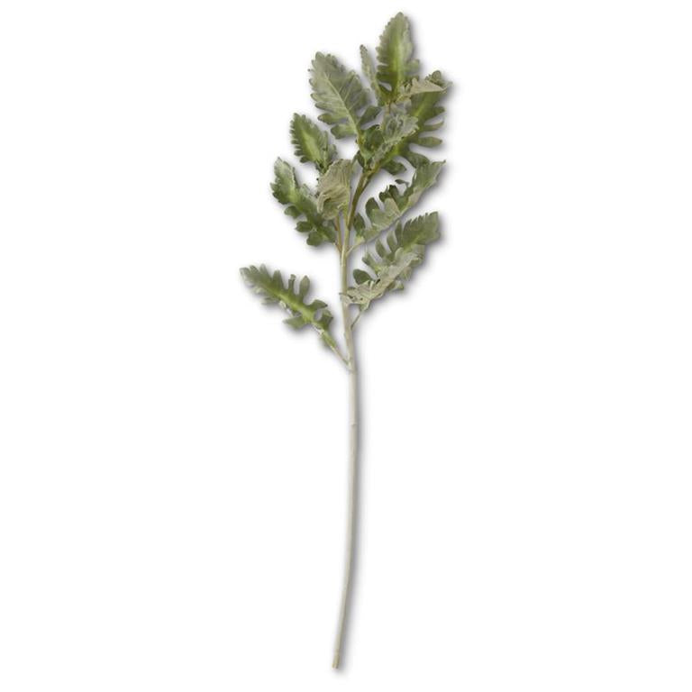 SOFT GREEN DUSTY MILLER STEM