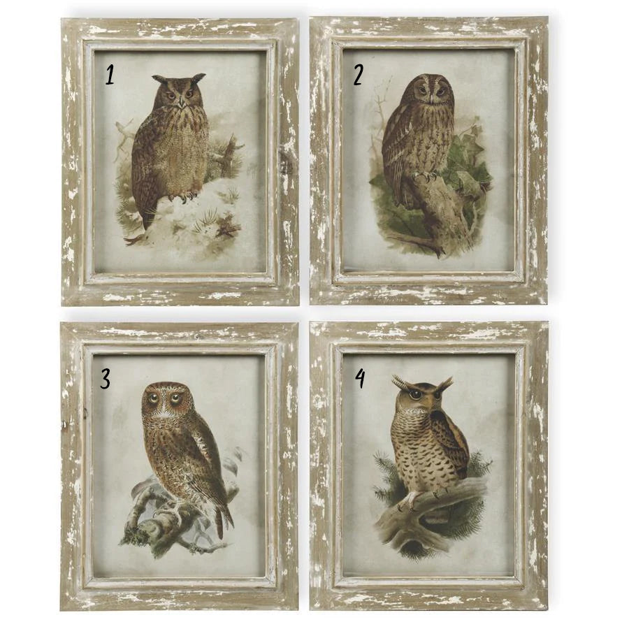 Owl Prints with Distressed Frame