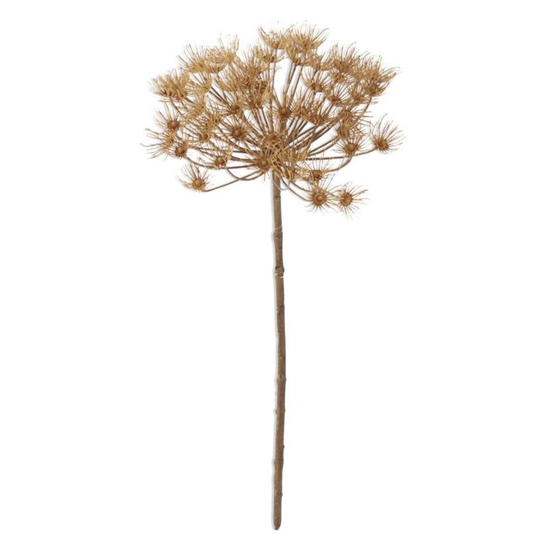 Tan Fall Allium Stem