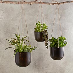 Hanging Planter - Large