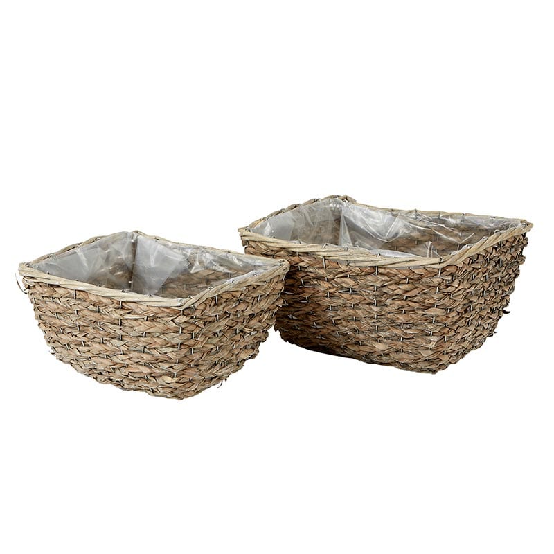 Willow Basket