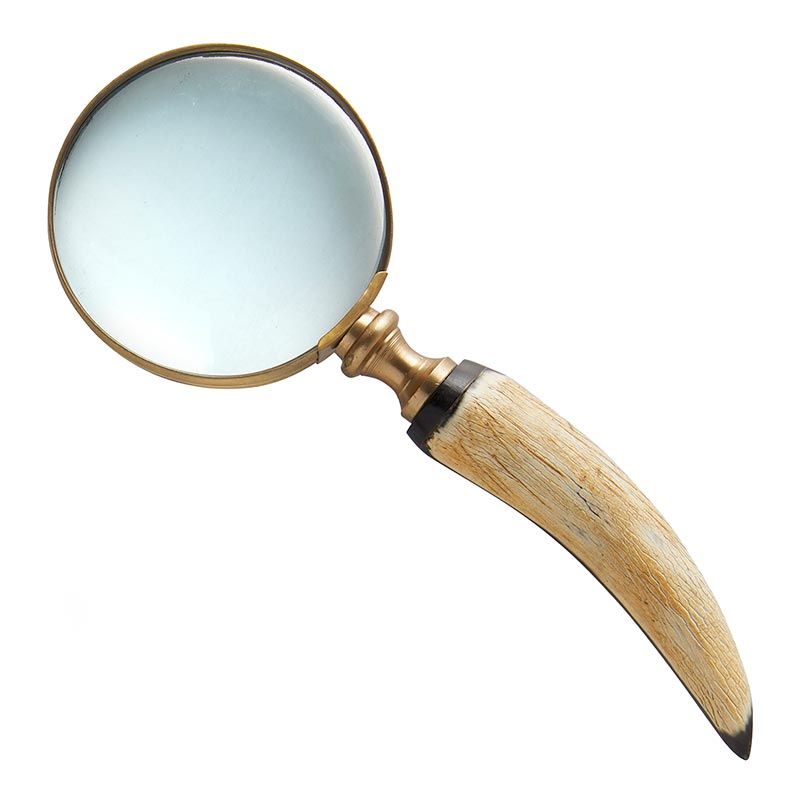 Tooth Magnifying Glass
