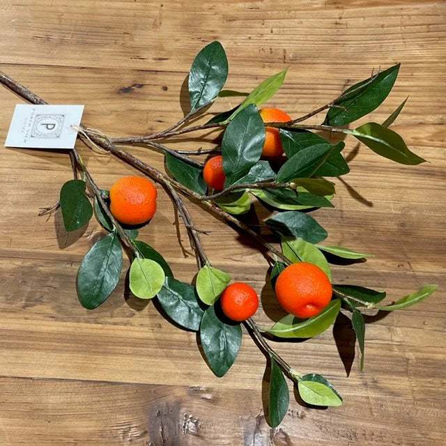 Fruiting Orange Stem