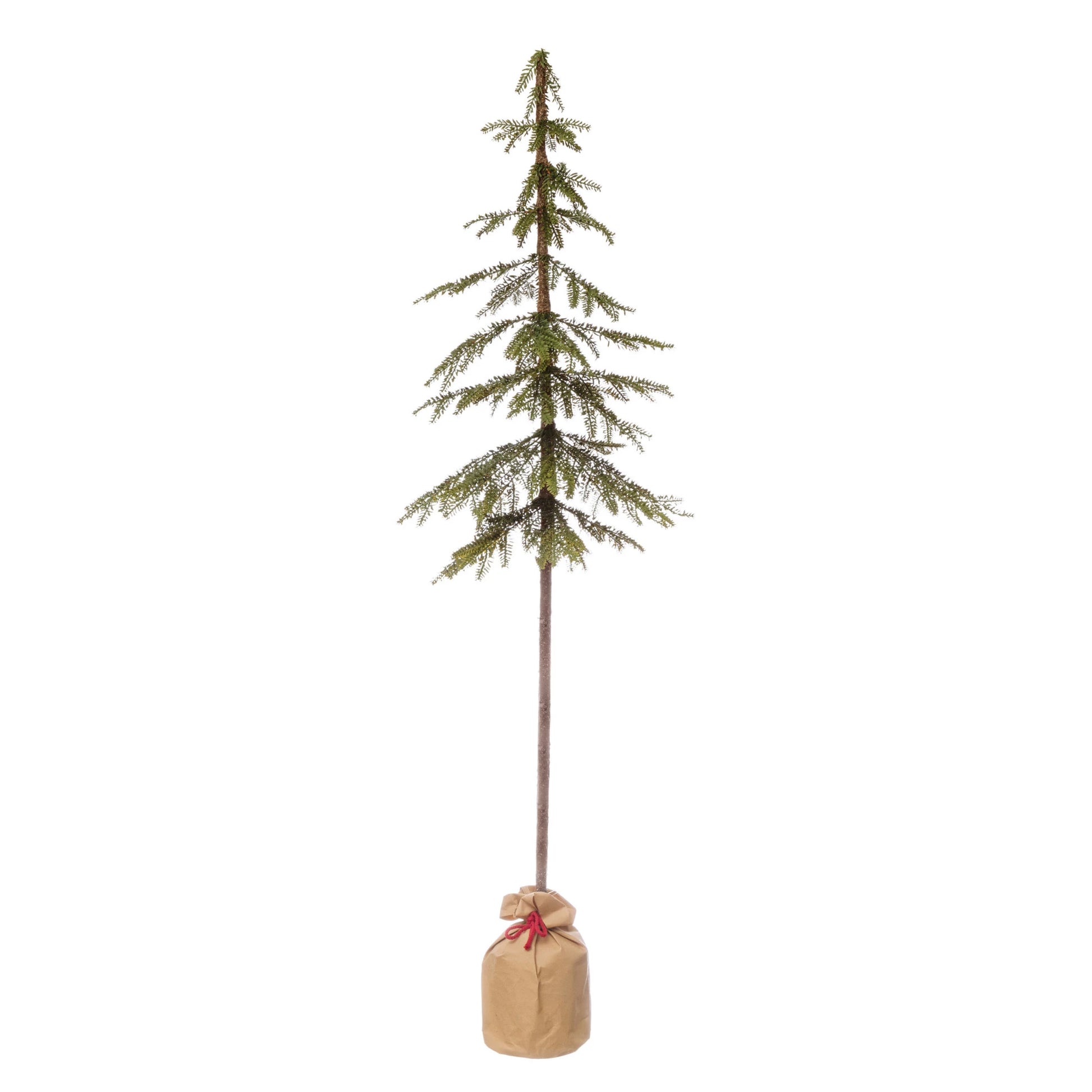 Pine Tree in Paper Sack