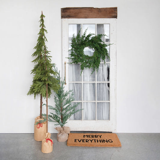 Pine Tree in Paper Sack